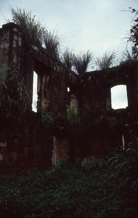 Ruinas à Rua Professor Francisco Lopes de Azevedo