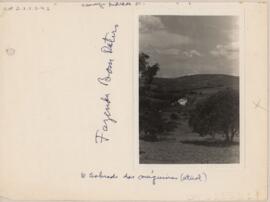 Fazenda Bom Retiro
