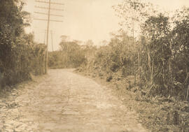 Estrada de Rodagem de São Paulo a Santos