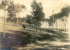 Um trecho do Parque