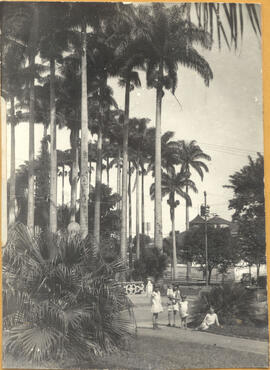 [Praça Carlos Gomes]