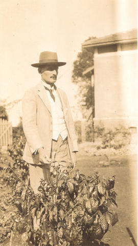 [João Herrmann]