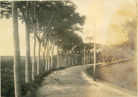 Avenida do Biris – Parque