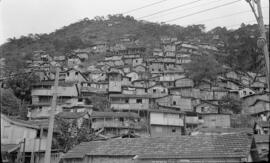 [Favela]