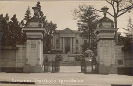 Instituto Agronômico [de Campinas]