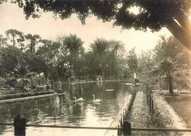 Jardim da Luz