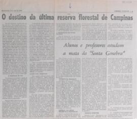 O destino da última reserva florestal de Campinas