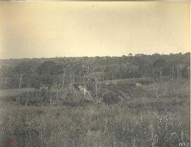 Núcleo [colonial] Nova Europa – casa de colono Peter Horpis no lote nº 35