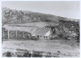 Triângulos de reversão