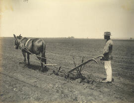 Cultivador ‘Planet’