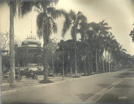 Jardim da Luz