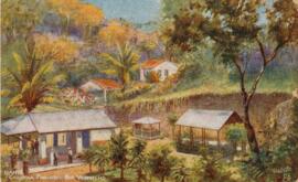 [Cartão Postal]