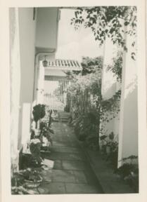 Abrigo e entrada lateral da minha casa