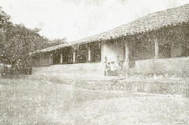 [Fazenda Abelheiras]