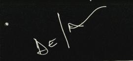 [Prospecto]