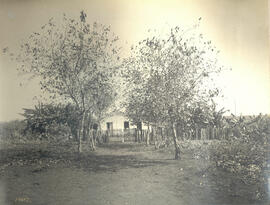 Casa do colono Turatto Antonio - Lote 191