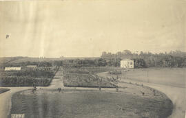 Campo de cultura na fazenda modelo de Piracicaba